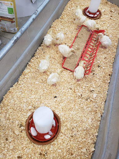 Hardware Store «Westlake Ace Hardware 109», reviews and photos, 550 US-175 Frontage Rd #108, Seagoville, TX 75159, USA