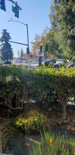 Starbucks image