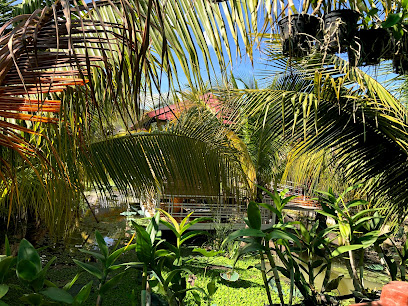 Vườn Dừa quán