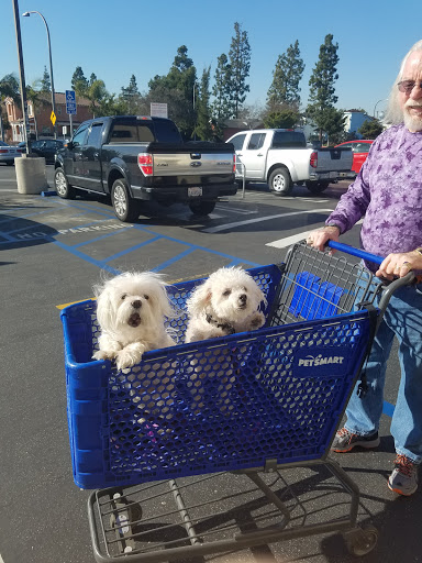 Pet Supply Store «PetSmart», reviews and photos, 10900 W Jefferson Blvd, Culver City, CA 90230, USA