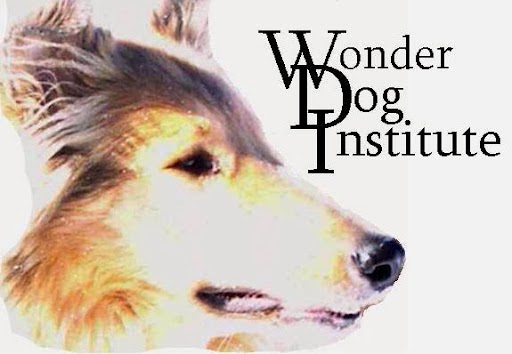 Wonder Dog Institute & Doggie Fitness Adventures