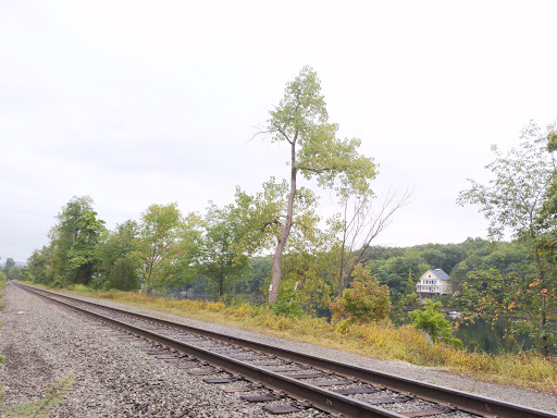 Tourist Attraction «Dinosaur Footprints», reviews and photos, US-5, Holyoke, MA 01040, USA