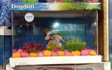 Guddu Fish Aquariums image