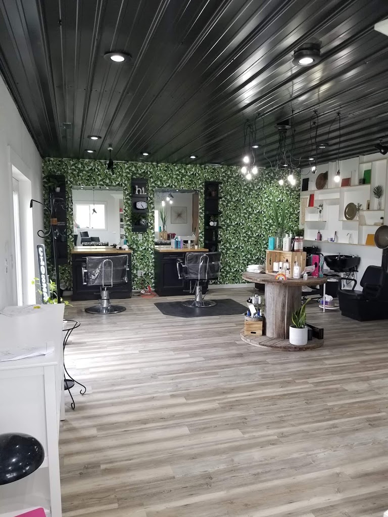 Lush Salon and Lash Studio 51351