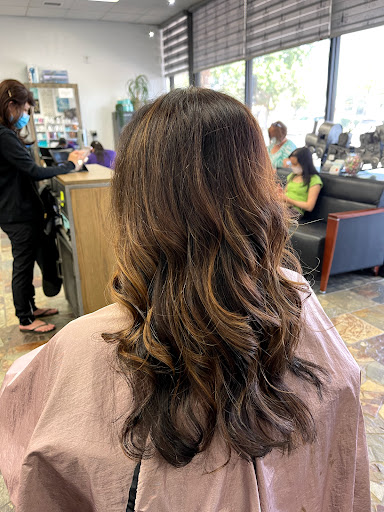 Hair Salon «M Salon», reviews and photos, 600 E Bethany Dr, Allen, TX 75002, USA