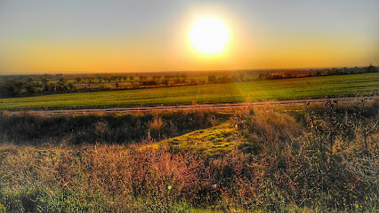 Підгородне