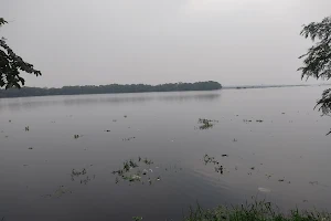 Okhla Bird Sanctuary image