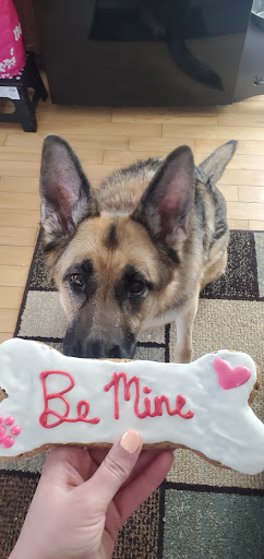 Pet Supply Store «Pets Naturally», reviews and photos, 1420 W South Airport Rd, Traverse City, MI 49686, USA