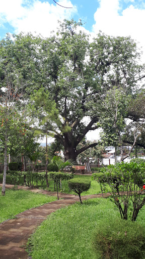 infantil Miraflores Park