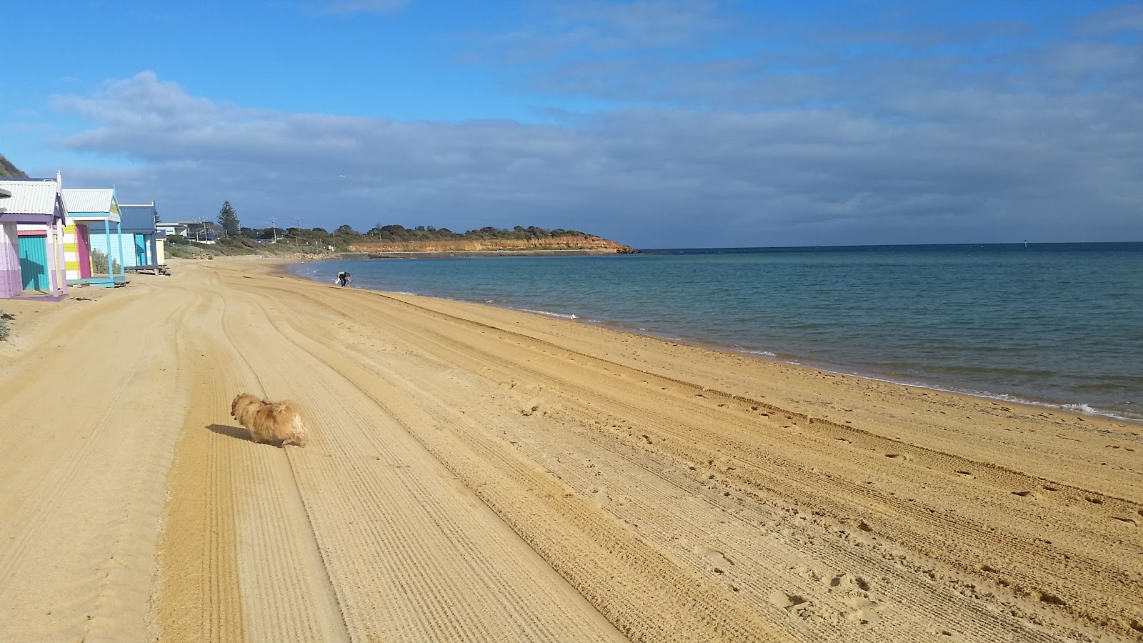 Fotografija Mornington Peninsula Beach divje območje