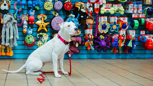 Pet Supply Store «Dogge Style Pets Passyunk», reviews and photos, 1700 E Passyunk Ave, Philadelphia, PA 19148, USA
