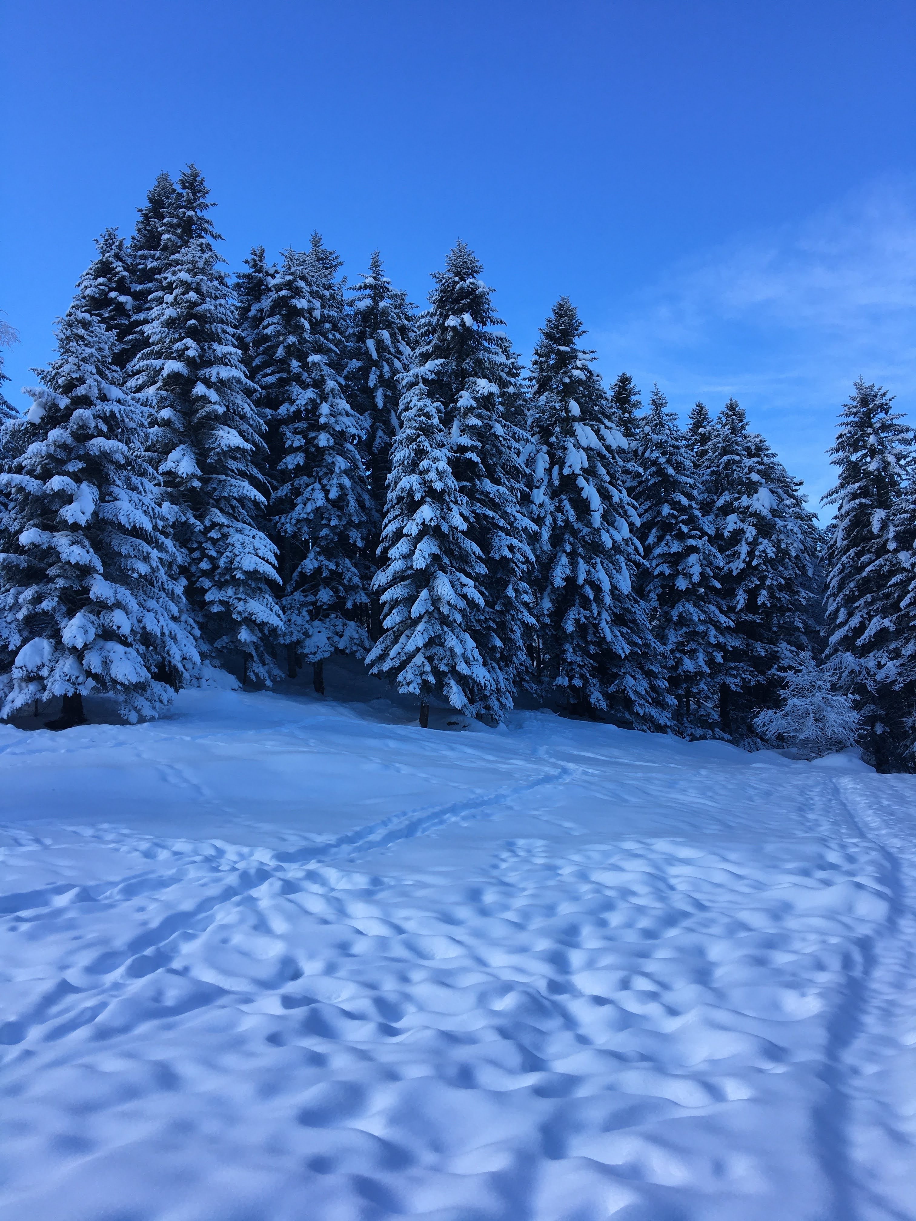 Photo n° 1 de l'avis de Grégory.E fait le 27/01/2021 à 11:47