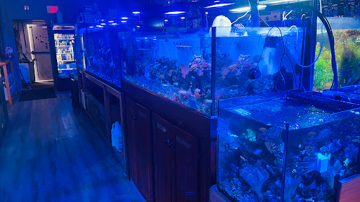 Tropical Fish Store «Wet Pets», reviews and photos, 520 Hartford Turnpike # X, Vernon, CT 06066, USA