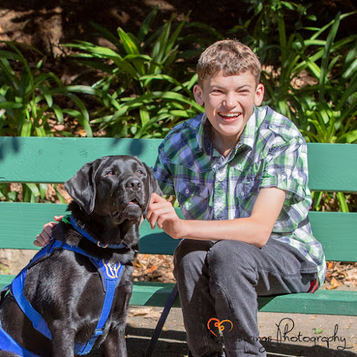 Comments and reviews of Assistance Dogs New Zealand Trust