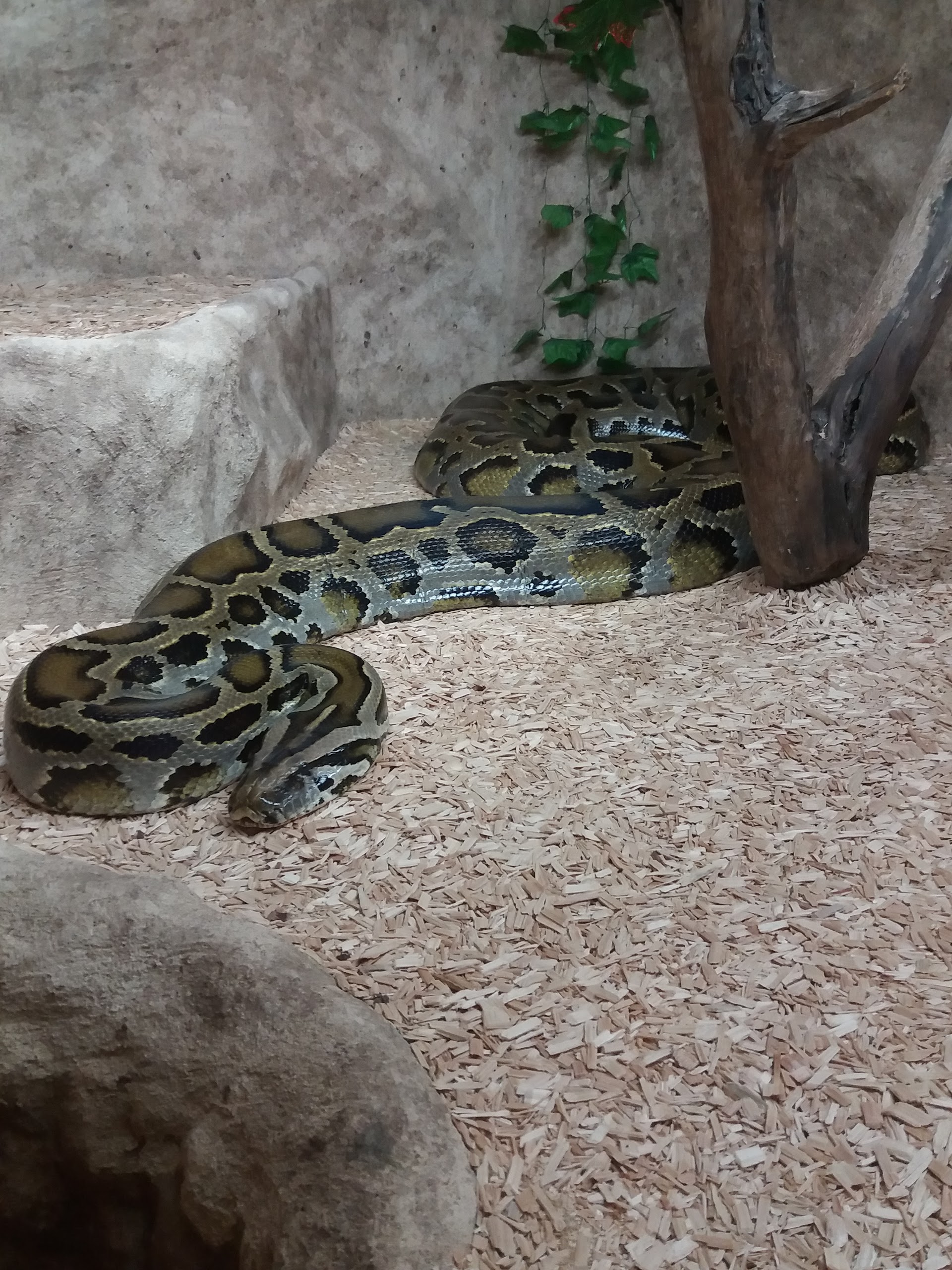 Photo n° 36 de l'avis de Damien.i fait le 21/08/2017 à 19:35