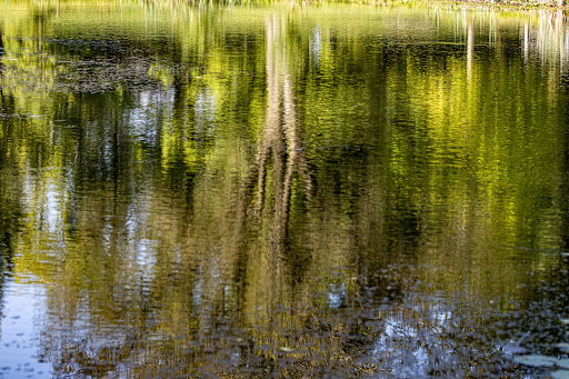 Nature Preserve «St. James Farm Forest Preserve», reviews and photos, 2S541 Winfield Rd, Warrenville, IL 60555, USA