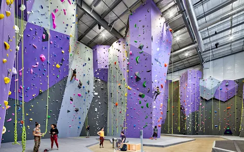 DYNO Detroit Climbing image