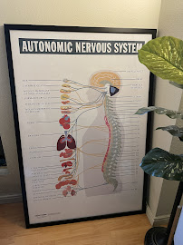 The Living Room Chiropractic - Photo 6 - Car repair in San Francisco, CA, San Francisco