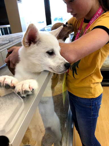 Pet Store «Perfect Pets», reviews and photos, 6840 S University Blvd #410, Centennial, CO 80122, USA