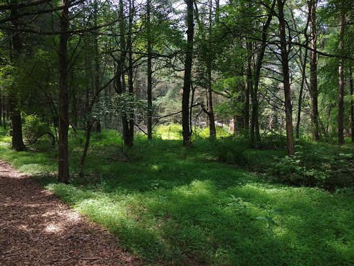 Nature Preserve «Whittemore Wildlife Sanctuary», reviews and photos, 7 Rockaway Rd, Whitehouse Station, NJ 08889, USA