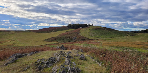 Bradgate Park