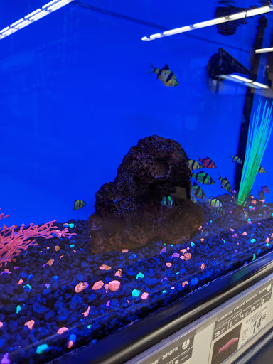 Pet Supply Store «Petco Animal Supplies», reviews and photos, 1150 Concord Ave #160, Concord, CA 94520, USA