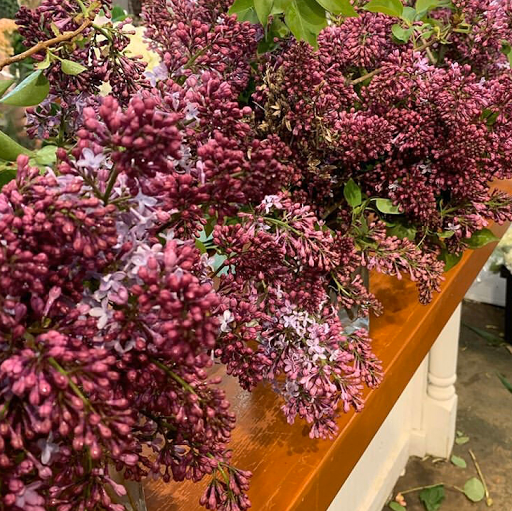 Florist «Arts & Flowers Inc», reviews and photos, 6011 Excelsior Blvd, Minneapolis, MN 55416, USA