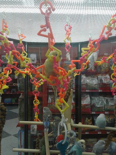 Pet Supply Store «Petco Animal Supplies», reviews and photos, 1425 N Montebello Blvd, Montebello, CA 90640, USA