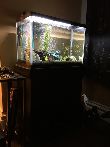 Pet Store «Aqua World Pet Super Center», reviews and photos, 8143 Ohio River Blvd, Pittsburgh, PA 15202, USA