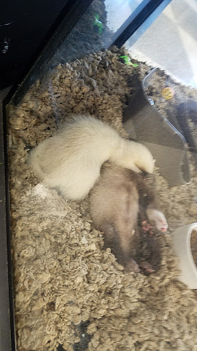 Pet Supply Store «Petco Animal Supplies», reviews and photos, 8100 W Crestline Ave d, Littleton, CO 80123, USA