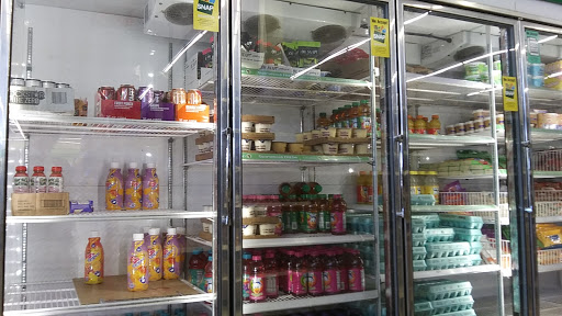 Dollar Store «Dollar Tree», reviews and photos, 24 Portland Ave, Bergenfield, NJ 07621, USA