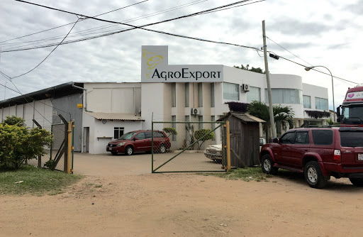 AgroExport (Agroexportaciones del Sur S.R.L.)