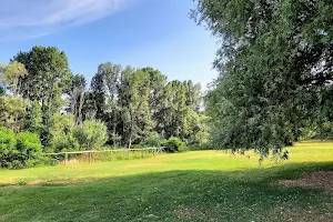 Giardino dei bambù, via Caduti di Casteldebole (BO) image