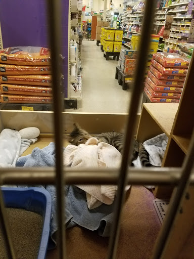 Pet Supply Store «PetSmart», reviews and photos, 1291 Churchmans Rd, Newark, DE 19713, USA