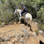 Photo n° 1 de l'avis de Valérie. fait le 25/07/2021 à 18:11 pour les Chevaux du Verdon à Artignosc-sur-Verdon