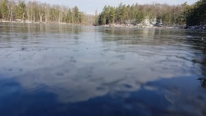 Pine Hill Park - photo 89