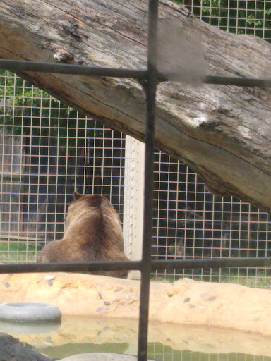 Zoo «Tulsa Zoo», reviews and photos, 6421 E 36th St N, Tulsa, OK 74115, USA