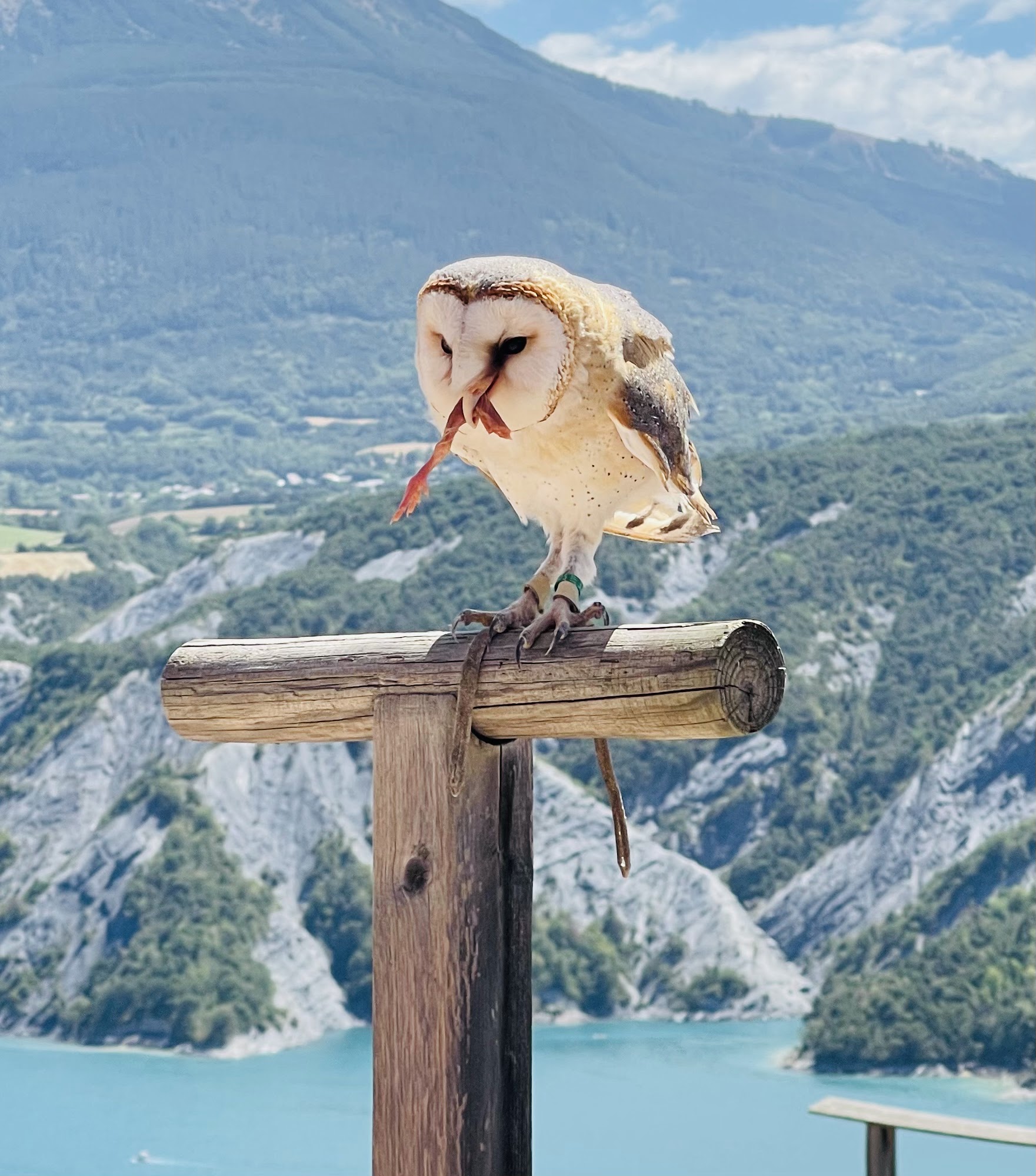 Photo n° 12 de l'avis de Ange.e fait le 13/08/2023 à 22:52