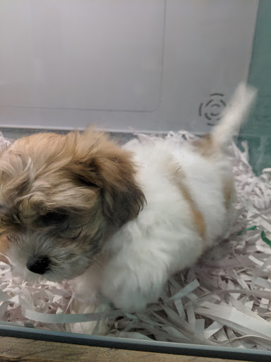 Pet Store «Pet-Go-Round», reviews and photos, 4554 VA-225, Virginia Beach, VA 23462, USA