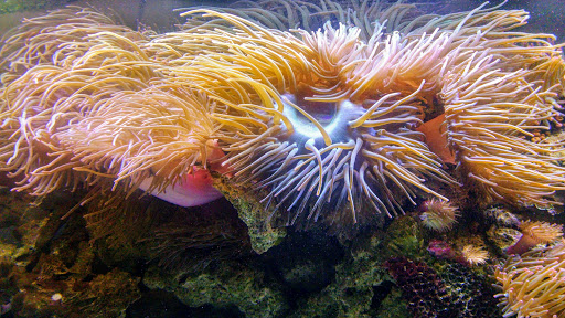 Pet Store «Fish Bowl Aquarium & Pet Mart», reviews and photos, 725 Providence St, West Warwick, RI 02893, USA