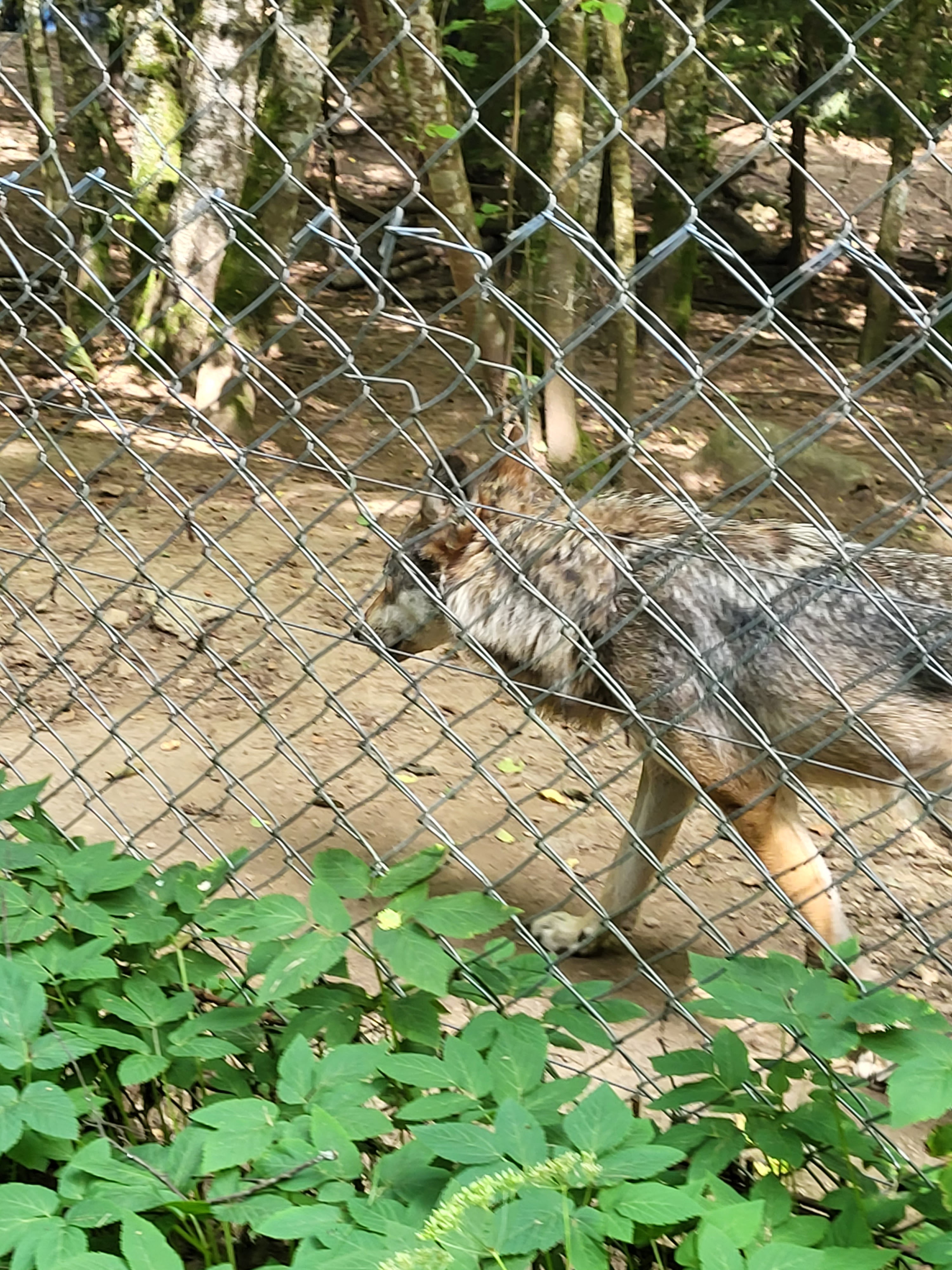 Photo n° 3 de l'avis de David.e fait le 18/07/2023 à 17:29