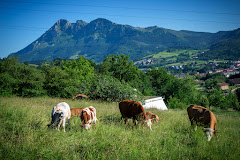 Qué hacer en Elorrio