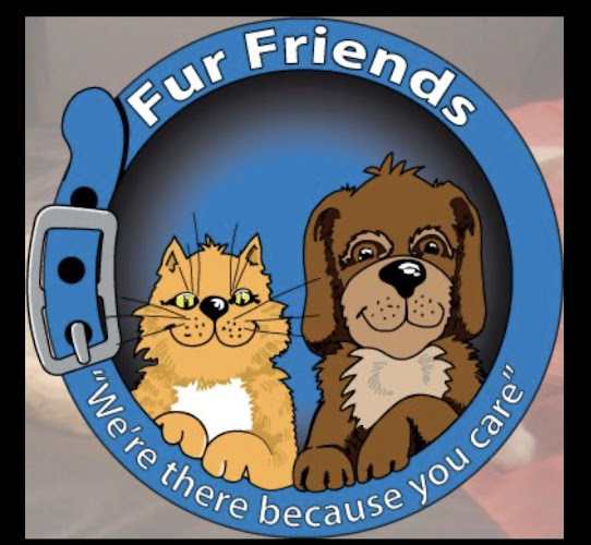 Reviews of Fur Friends ltd in Dunedin - Dog trainer