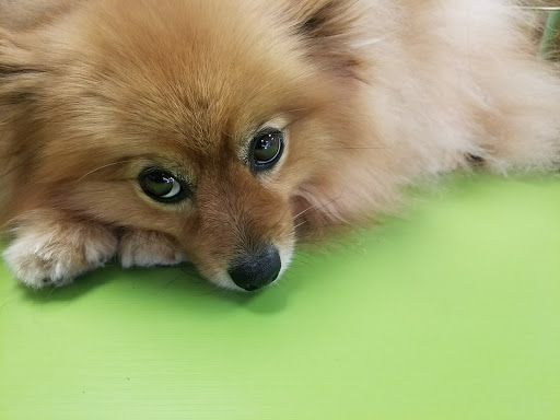  «Animal Crackers», reviews and photos, 280 NE 2nd St, Miami, FL 33132, USA