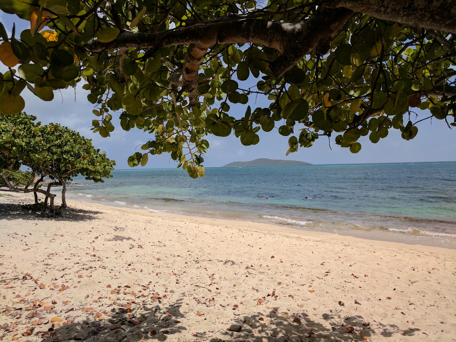 Foto di Cramer Park beach con abbastanza pulita livello di pulizia