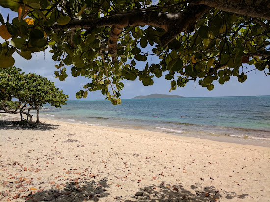 Cramer Park beach