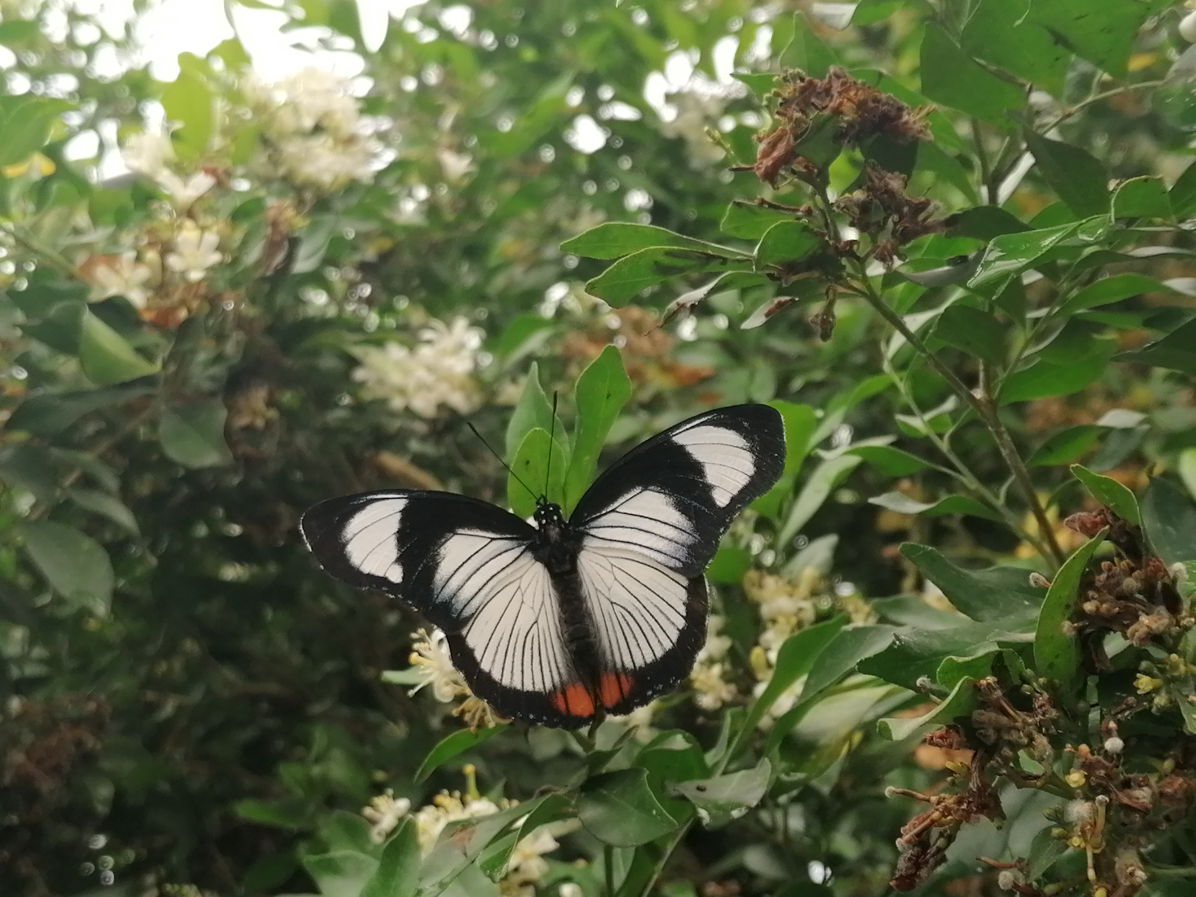 Photo n° 43 de l'avis de Patrice.A fait le 26/08/2022 à 17:23
