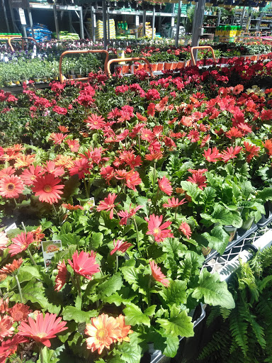 Home Improvement Store «The Home Depot», reviews and photos, 224 S Royal Oaks Blvd, Franklin, TN 37067, USA