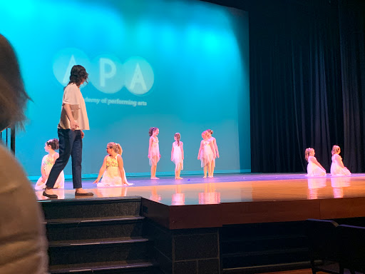 Performing Arts Theater «South Milwaukee Performing Arts Center», reviews and photos, 901 15th Ave, South Milwaukee, WI 53172, USA