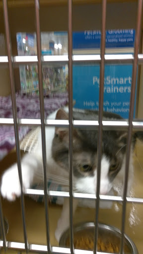 Pet Supply Store «PetSmart», reviews and photos, 300 N Congress Ave, Lake Park, FL 33403, USA